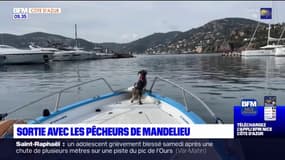 Alpes-Maritimes: à bord avec les pêcheurs de Mandelieu