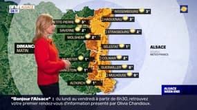 Météo Alsace: des nuages dans l'après-midi, 12°C attendus à Mulhouse