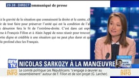 Comité politique LR: le parti "unanime" derrière François Fillon (2/2)