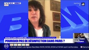 "En période de risque, il n'y a qu'un seul principe, celui de précaution": Marie-Claire Carrère-Gée plaide pour une désinfection des rues à Paris