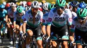 le peloton du Tour de France