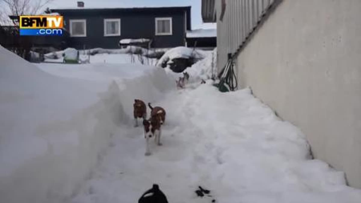 placeholder video