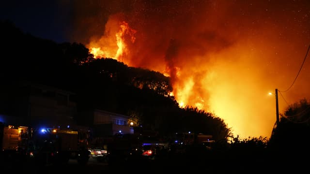 Des centaines d'hectares de maquis ont été détruits en Corse.