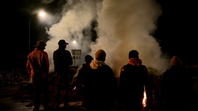 Agriculteurs: la Coordination rurale bloque le port de Bordeaux