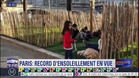 Paris: vers un record d'ensoleillement pour un mois de février