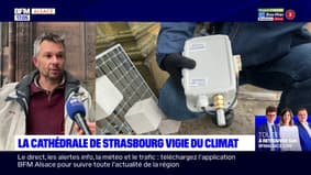 Strasbourg: des capteurs installés sur la flèche de la Cathédrale pour comprendre l'effet du dérèglement climatique sur l'édifice