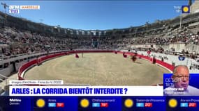 Arles: la corrida bientôt interdite?