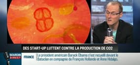 La chronique d'Anthony Morel: Les innovations des start-ups françaises en faveur de l'environnement - 30/11
