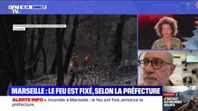 Incendies à Marseille: "On a échappé à quelque chose de plus grave", assure Michel Amiel, maire des Pennes-Mirabeau 