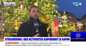 Strasbourg: des militants écologistes ont aspergé le sapin de Noël avec de la peinture 