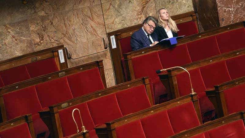 Le député du Gard Gilbert Collard, allié au Front National, et la députée FN du Vaucluse Marion Maréchal Le Pen à l'Assemblée nationale à Paris, le 24 Juin 2015. 