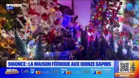 Sigonce : la maison aux quinze sapins pour fêter Noël