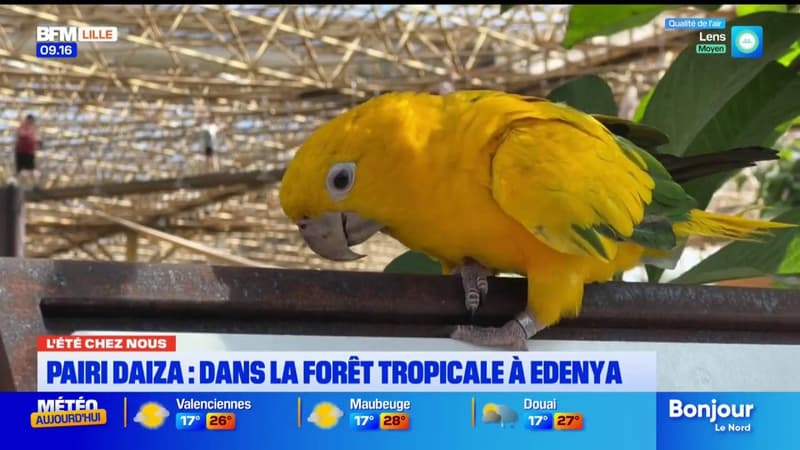 L'Eté chez Nous à Pairi Daiza