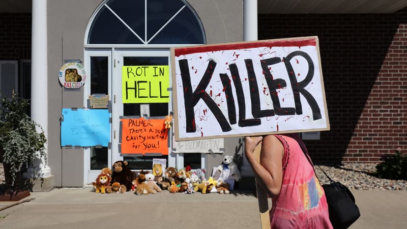 Des dizaines de peluches de lions, tigres et singes ont notamment été déposées devant le cabinet dentaire de Walter Palmer. Les gens ont également laissé de nombreuses pancartes, dont l'une l'invitait à "pourrir en enfer".