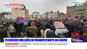 Grève du 19 janvier: 11.000 personnes mobilisées au Havre