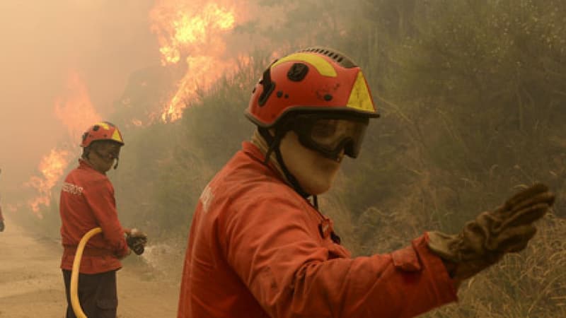 Portugal: un millier de pompiers mobilisés pour éteindre un feu de forêt, 7000 hectares détruits