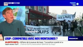 Les loups, un danger? "80% de la population est favorable à la présence du loup" assure le vice-président de Férus