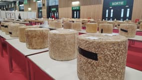 Des meules de cantal lors des finales du Concours général agricole, le 25 février 2025 à Paris.