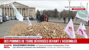 Colère agricole: les Parisiens invités par les agriculteurs à se servir dans les 20 tonnes de pommes de terre déversées devant l'Assemblée nationale