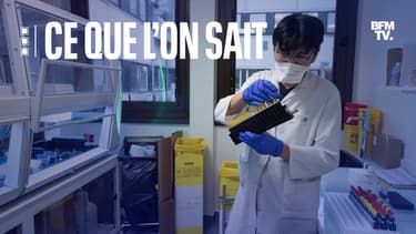 Dans un laboratoire de l'hôpital Henri Mondor à Créteil, le 7 décembre 2021. 