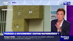 Pourquoi le gouvernement suspend MaPrimeRénov' ? - 05/06