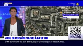 La Seyne-sur-Mer: 700g de cocaïne, de la résine de cannabis et des munitions saisis