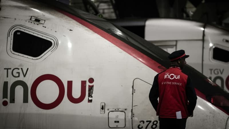 Malgré la concurrence aggressive de Trenitalia, les TGV de la SNCF étaient remplis à 86% l'an passé et un tiers d'entre eux étaient même complets