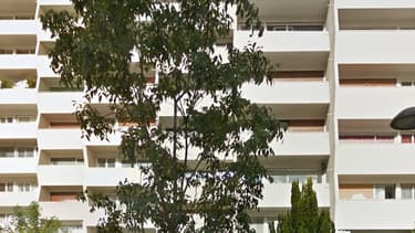 C'est le propriétaire de l'appartement, venu sur place discuter avec eux de leur situation financière, qui aurait découvert les corps. (ici, l'immeuble du couple, à Villejuif, en région parisienne)