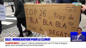 Lille: rassemblement pour le climat ce samedi 