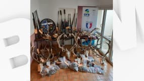 Lors des perquisitions, 34 trophées de chasse ont été saisis