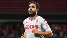 Cesc Fabregas