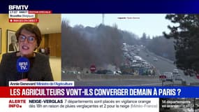 "Une victoire française": la ministre de l'Agriculture se félicite de l'interdiction européenne de 3 pesticides sur les produits importés
