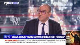 Laurent Nunez, préfet de police de Paris: "Ne laissons pas penser que nous procédons à des interpellations pour que les gens ne puissent pas aller manifester"