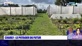 Métropole de Lyon: visite du potager du futur à Charly