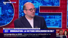 Loi immigration: "On a un ministre de l'Intérieur qui ne fait que de la communication", affirme Ludovic Mendes (Ensemble)