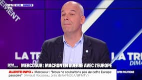"La FSNEA est pro-européenne" et pas pour une "Europe d'une naïveté totale", nuance Arnaud Rousseau