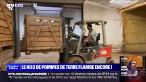 +22% en une semaine en Alsace: avec l'inflation, le kilo de pomme de terre flambe