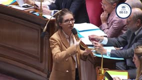 Aurore Bergé: "En 2023, 700 millions d'euros ont été débloqués pour aider et accompagner plus de 7.000 établissements médico-sociaux ou services d'aide à domicile"