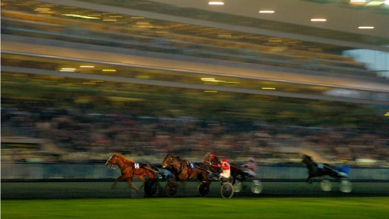 Trot à Vincennes