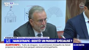 Narcotrafic: "Si vraiment on avait pris la mesure du risque, on aurait d'ores et déjà doté la France de moyens plus puissants" affirme le sénateur LR Étienne Blanc