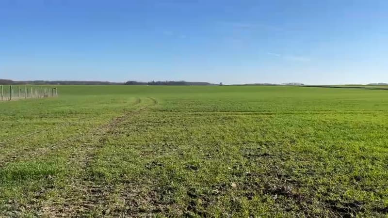 Île-de-France: dans les Yvelines, les agriculteurs inquiets de la sécheresse précoce