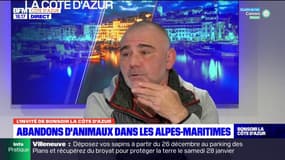 Alpes-Maritimes: les abandons d'animaux en hausse après les fêtes