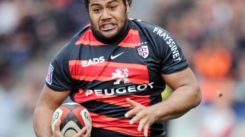 Tolofua, la nouvelle perle toulousaine