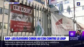 Gap: 200 personnes rassemblées devant la préfecture, corde au cou, pour protester contre la prédation du loup