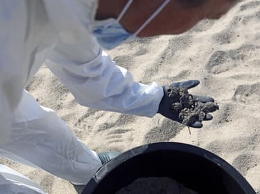Des boulettes d'hydrocarbure ramassées sur une plage de Solaro, en Haute-Corse, le 14 juin 2021