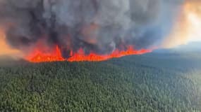 Un incendie en Colombie-Britannique, le 8 juin 2023.