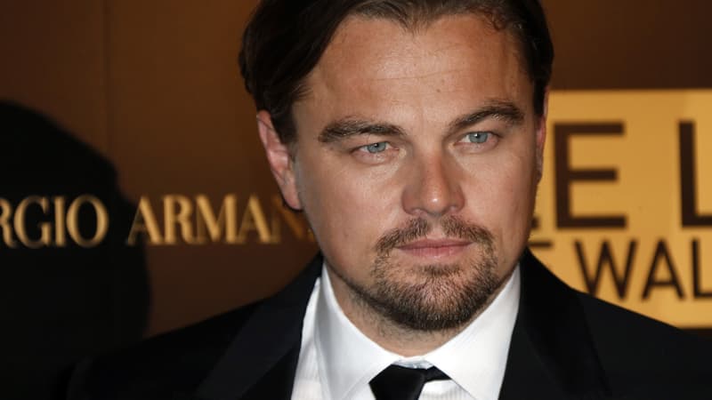 Leonardo DiCaprio avait été invité par François Hollande pour l'accompagner aux Philippines, pour prononcer son discours sur le climat. Mais l'acteur n'a pu accéder à la requête du président de la République.