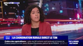 Manon Aubry (députée européenne LFI): "Le meilleur moyen de répondre à la détresse des agriculteurs, c'est d'y apporter des réponses politiques"