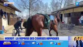 Hoerdt : la saison des courses a repris ce dimanche à l'hippodrome... et sous le soleil !