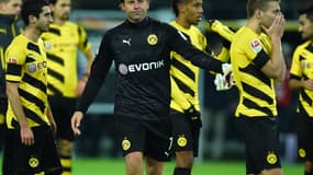 Roman Weidenfeller (Borussia Dortmund)